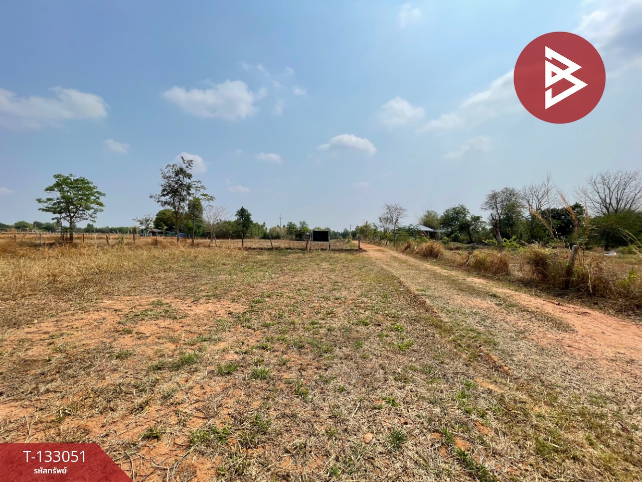 ขายที่ดิน เนื้อที่ 6 ไร่ 3 งาน 77 ตร.วา บ้านไผ่ ขอนแก่น 3