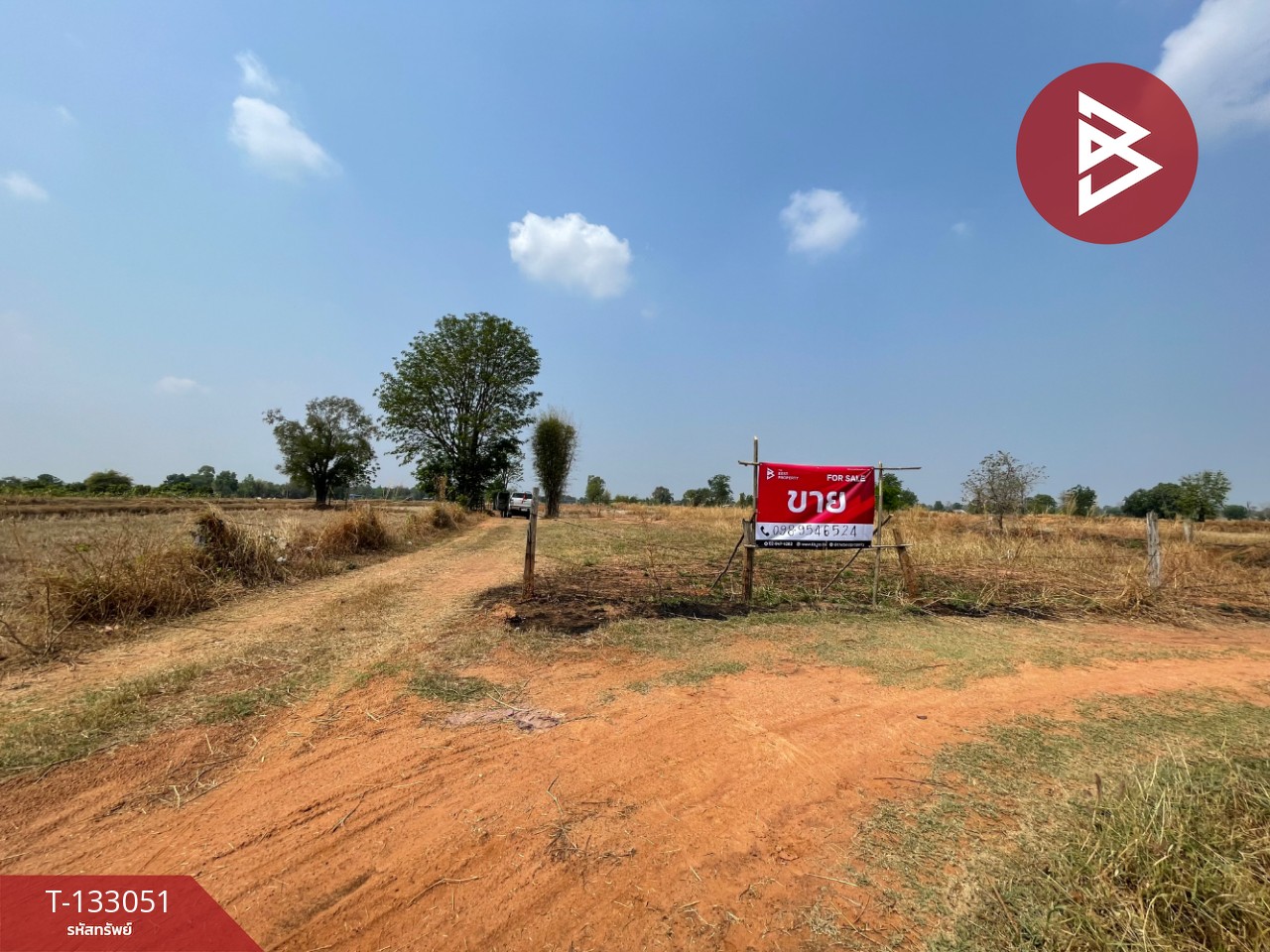 ขายที่ดิน เนื้อที่ 6 ไร่ 3 งาน 77 ตร.วา บ้านไผ่ ขอนแก่น 1