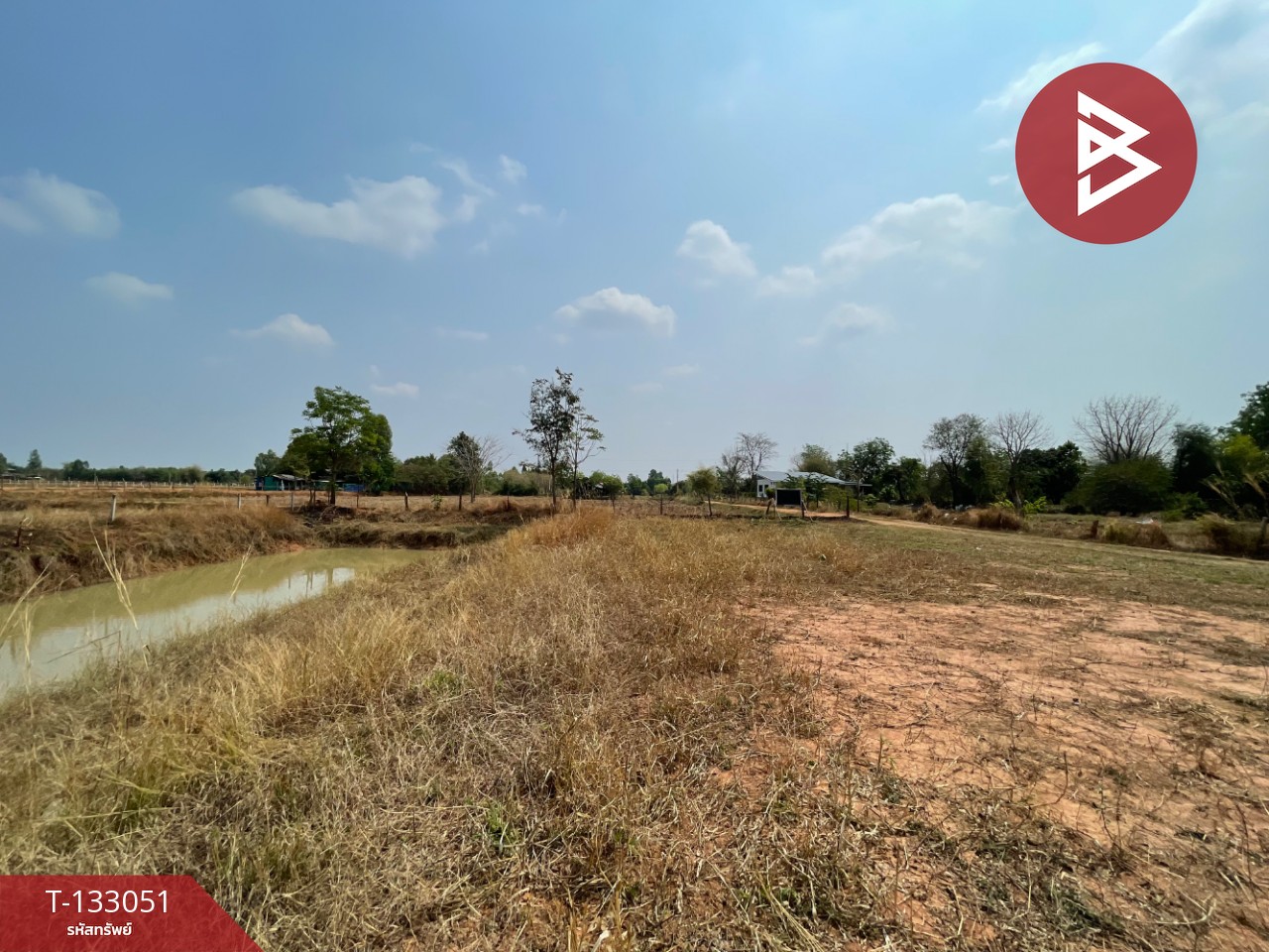 ขายที่ดิน เนื้อที่ 6 ไร่ 3 งาน 77 ตร.วา บ้านไผ่ ขอนแก่น 4