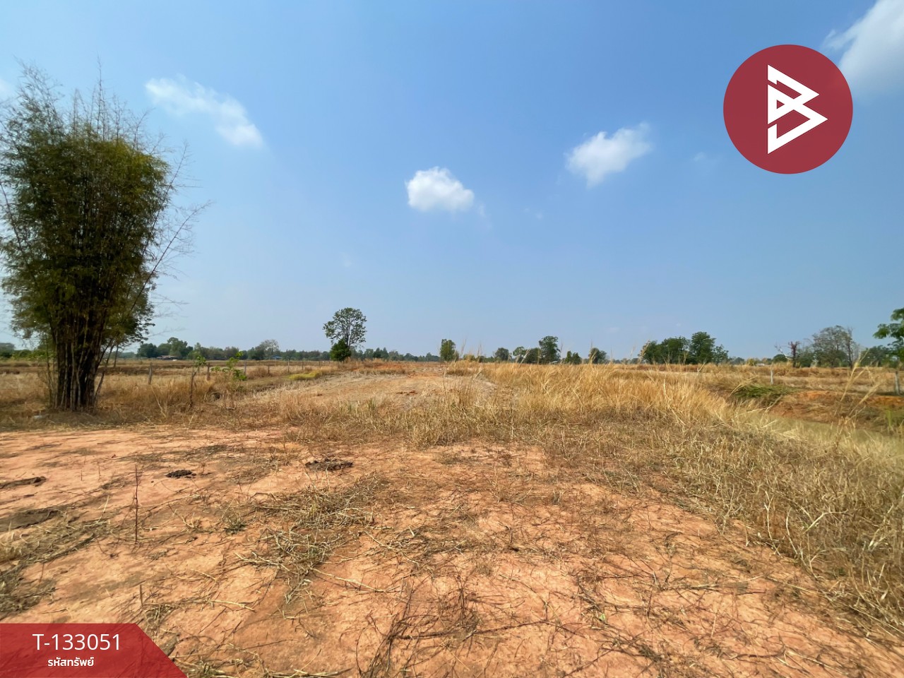 ขายที่ดิน เนื้อที่ 6 ไร่ 3 งาน 77 ตร.วา บ้านไผ่ ขอนแก่น 5