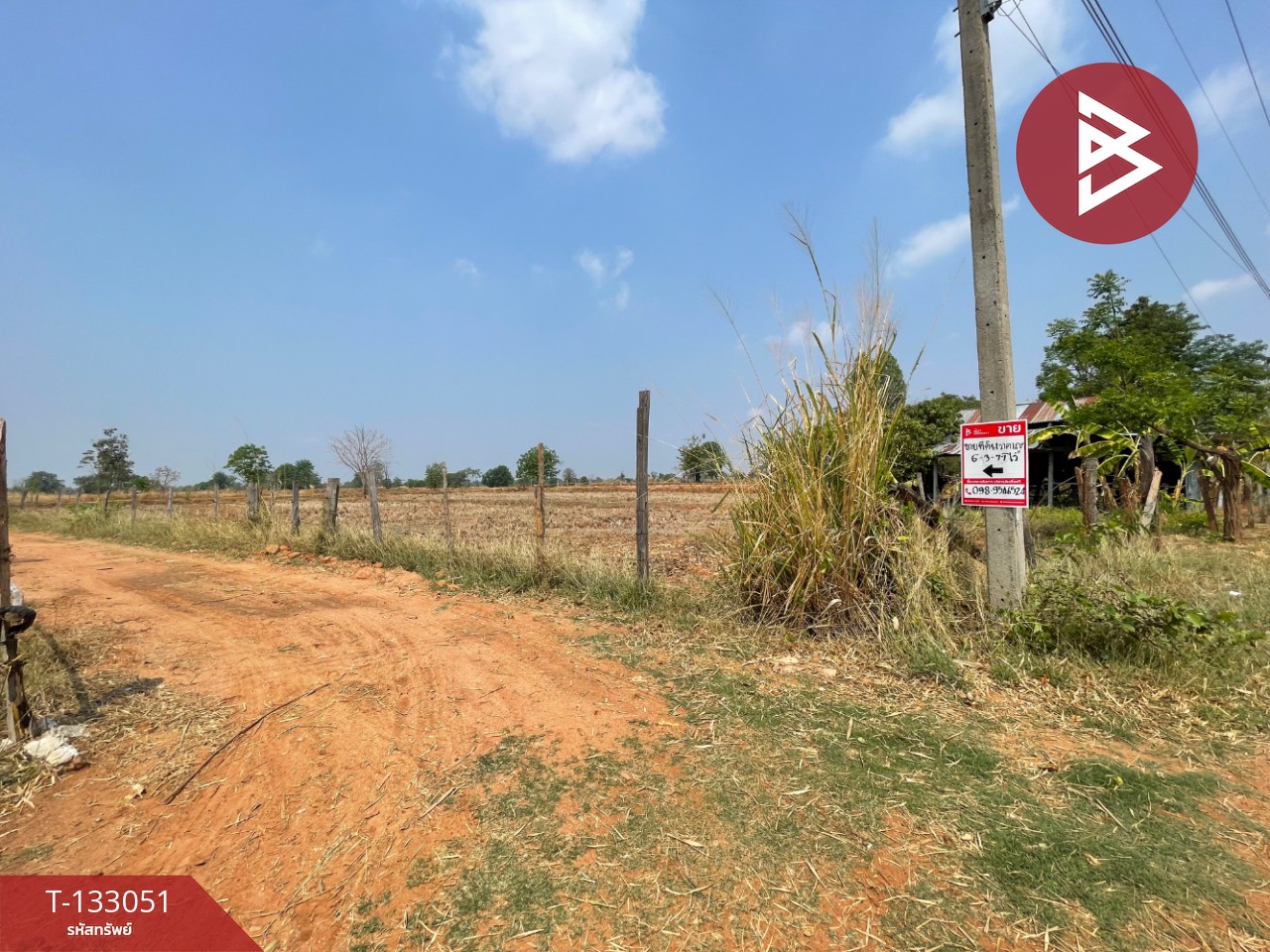 ขายที่ดิน เนื้อที่ 6 ไร่ 3 งาน 77 ตร.วา บ้านไผ่ ขอนแก่น 7