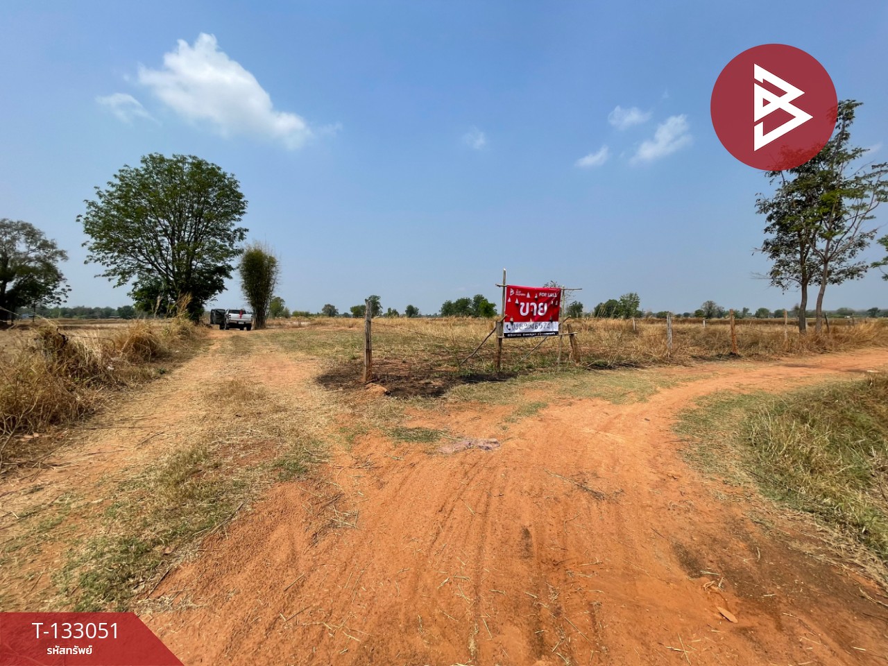 ขายที่ดิน เนื้อที่ 6 ไร่ 3 งาน 77 ตร.วา บ้านไผ่ ขอนแก่น 2