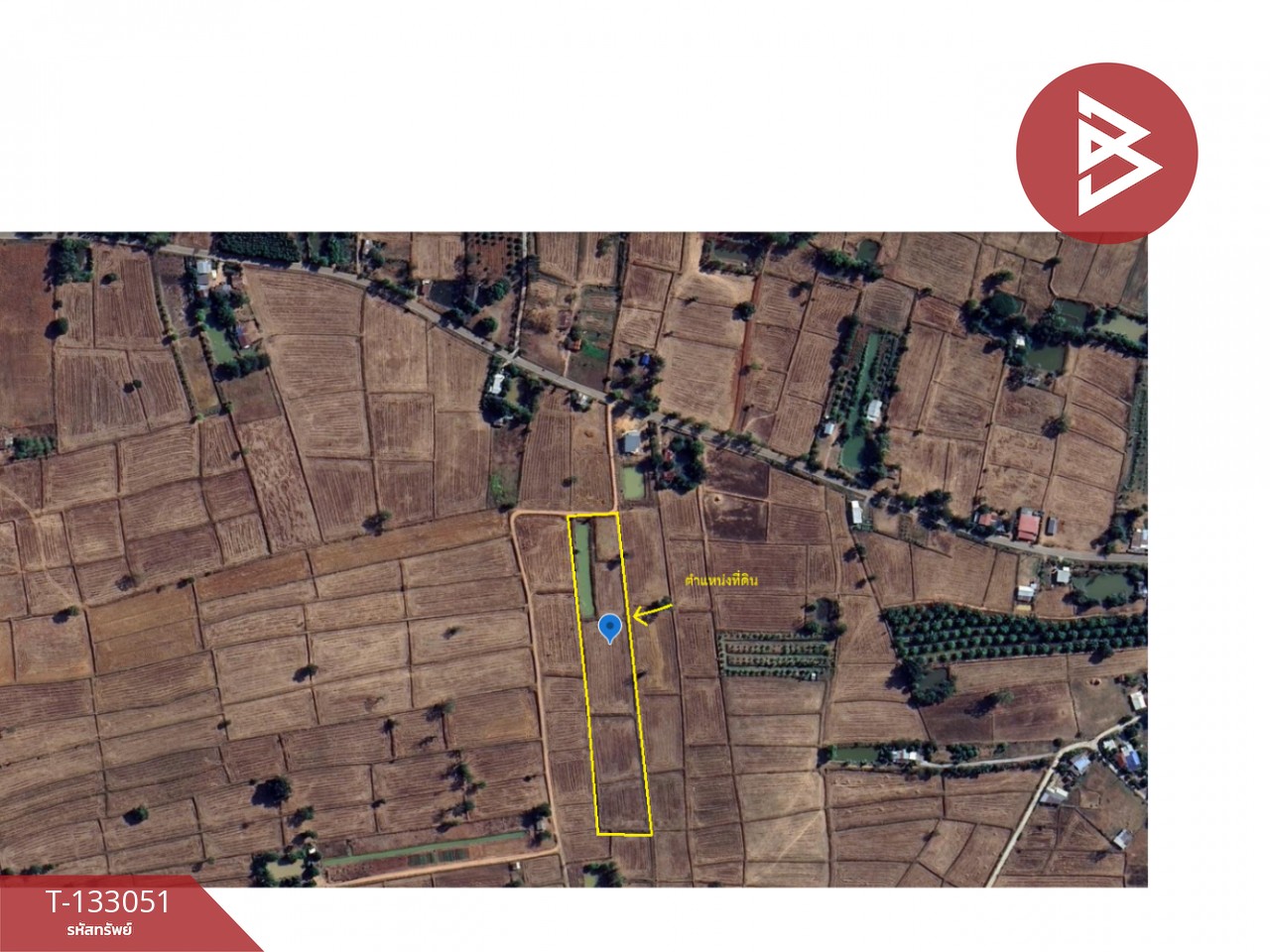 ขายที่ดิน เนื้อที่ 6 ไร่ 3 งาน 77 ตร.วา บ้านไผ่ ขอนแก่น 13