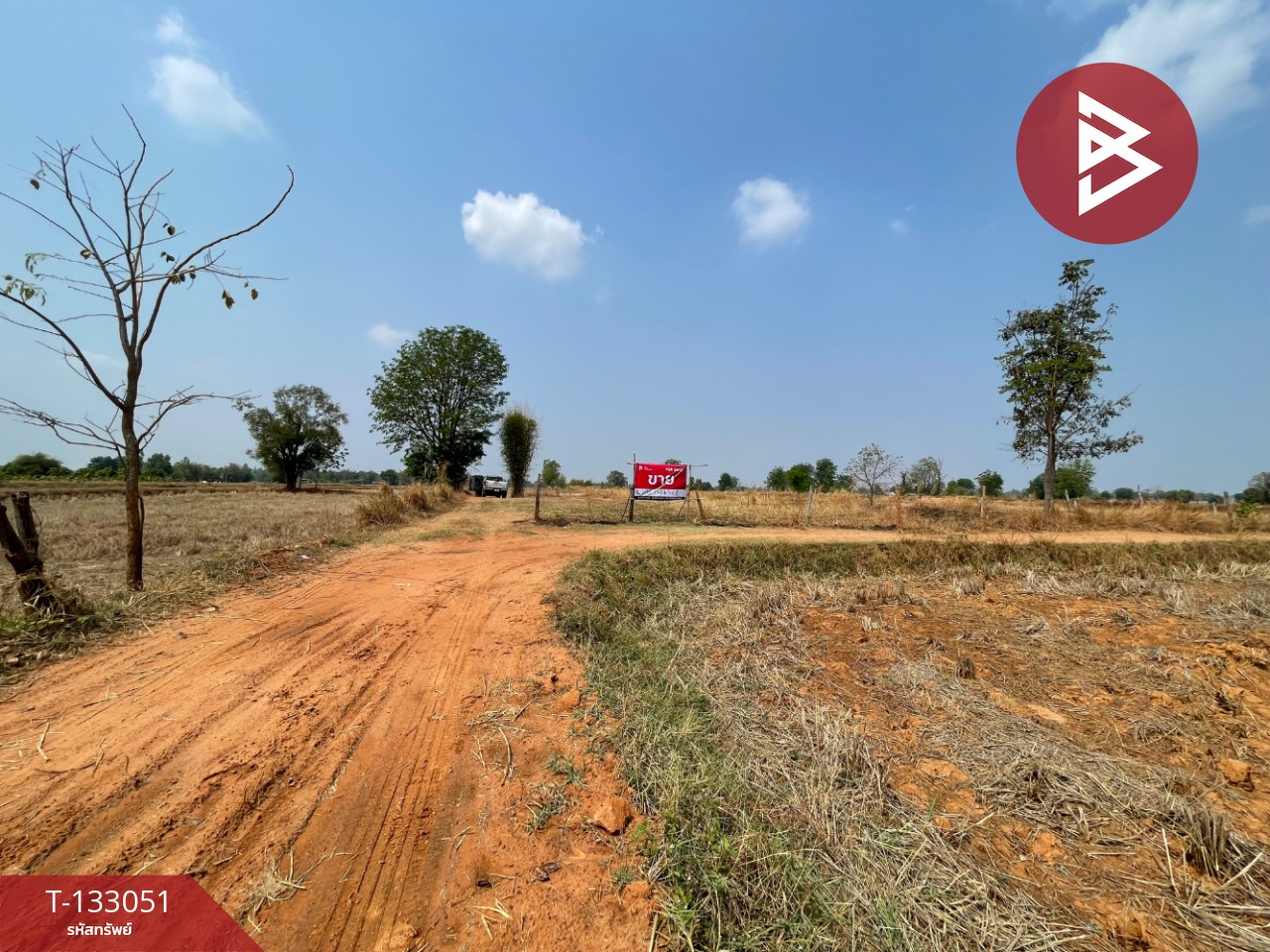 ขายที่ดิน เนื้อที่ 6 ไร่ 3 งาน 77 ตร.วา บ้านไผ่ ขอนแก่น 6