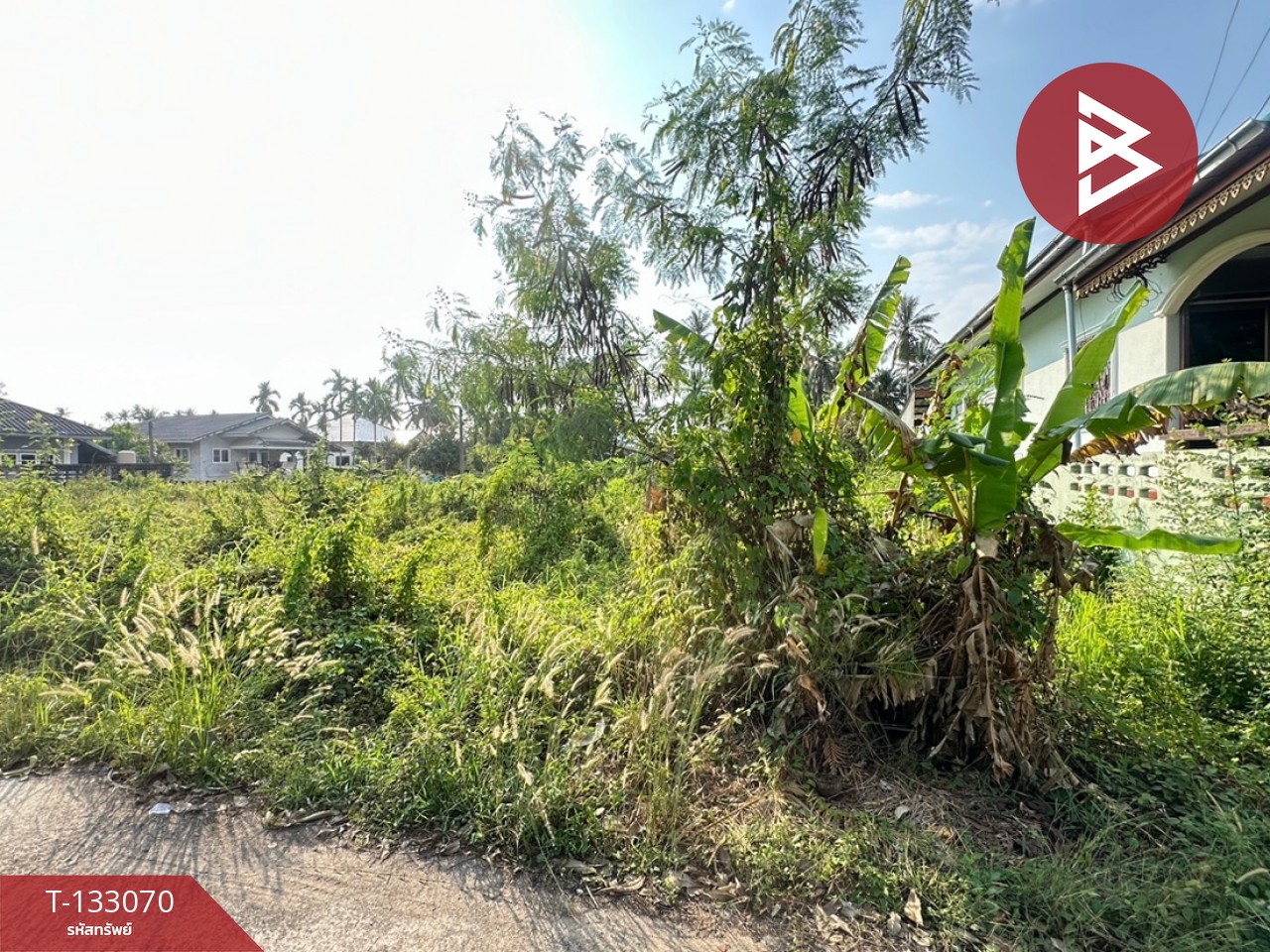 ขายที่ดิน เนื้อที่ 61 ตร.วา แหลมสิงห์ จันทบุรี 4