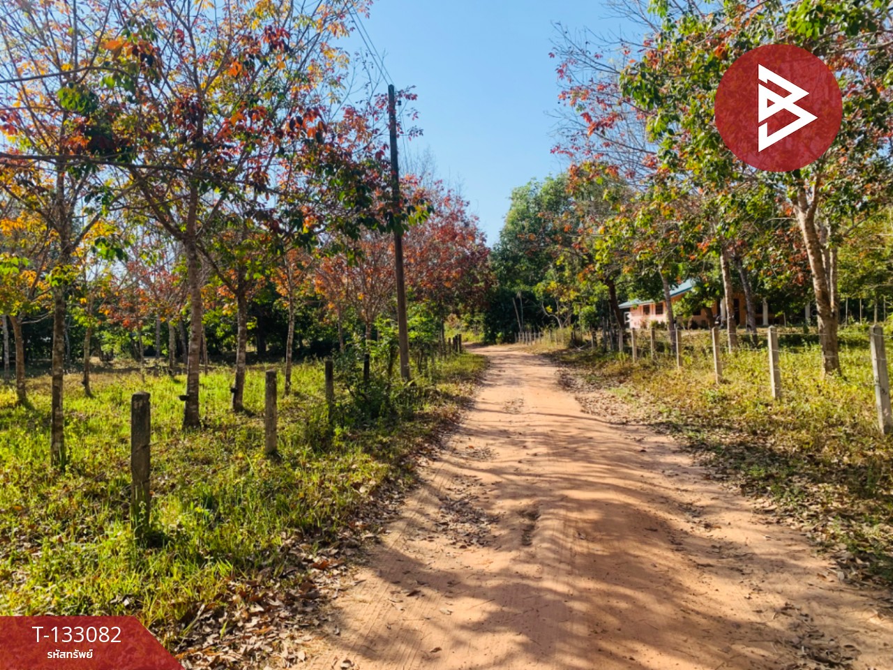 ขายที่ดิน เนื้อที่ 5 ไร่ 1 งาน 15 ตร.วา ดอนมดแดง อุบลราชธานี 1