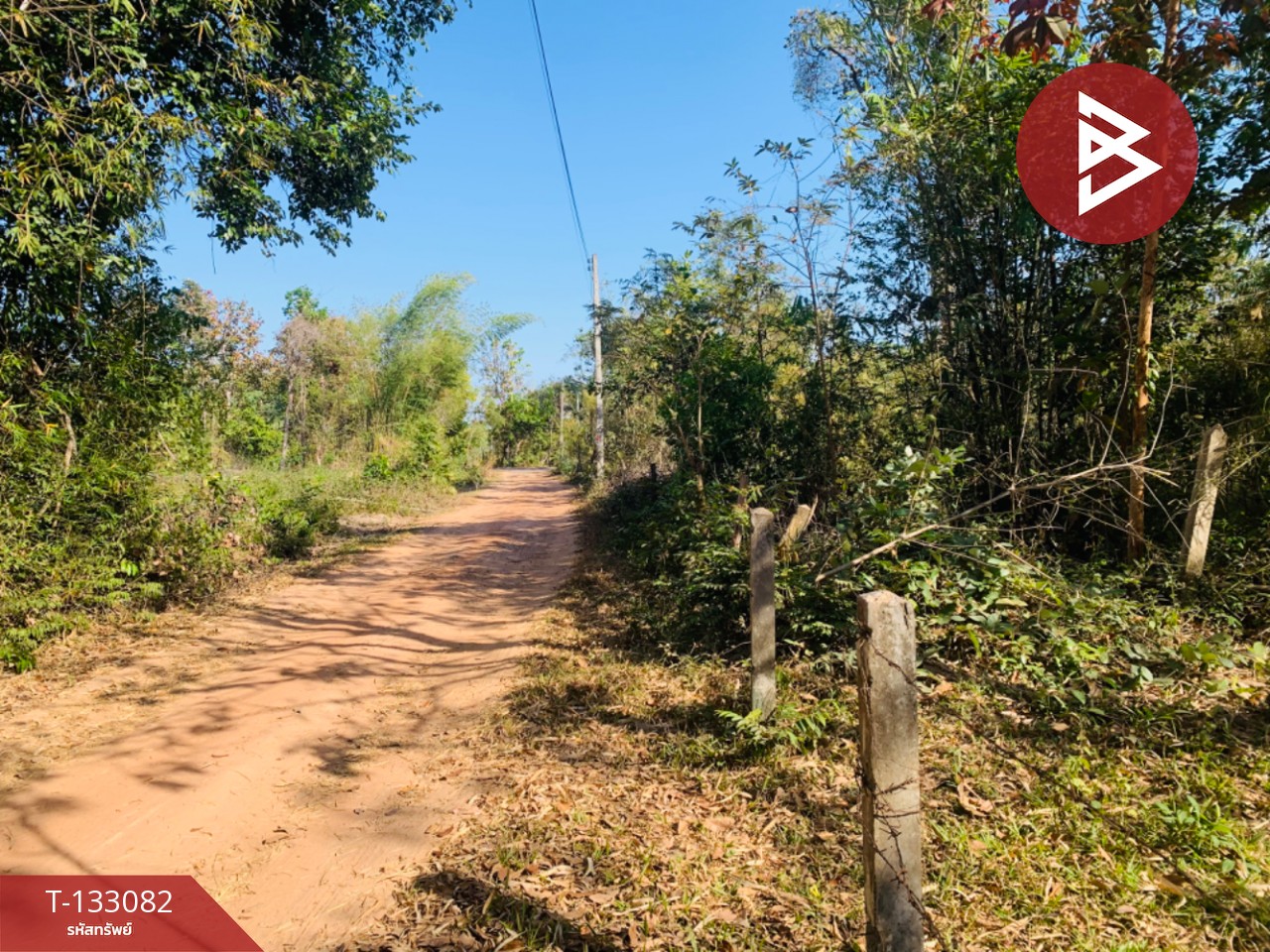 ขายที่ดิน เนื้อที่ 5 ไร่ 1 งาน 15 ตร.วา ดอนมดแดง อุบลราชธานี 2