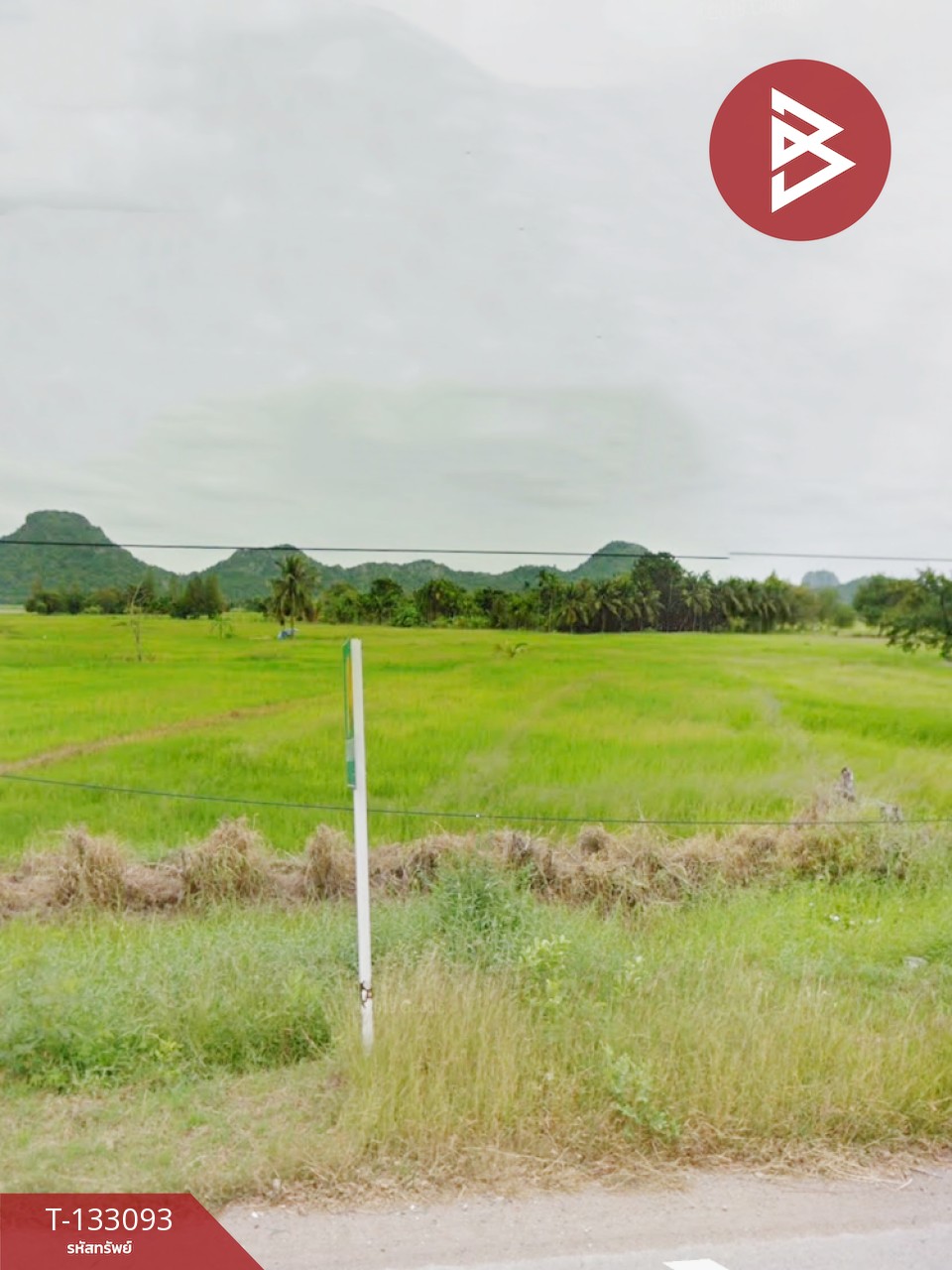 ขายที่ดิน เนื้อที่ 22 ไร่ 2 งาน 75 ตร.วา ชะอำ เพชรบุรี ติดถนนชะอำ 1