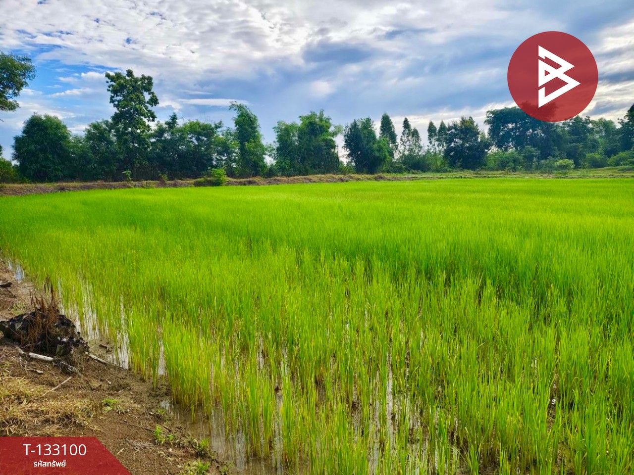 ขายที่ดินเปล่า เนื้อที่ 10 ไร่ ท่าตะโก นครสวรรค์ 3