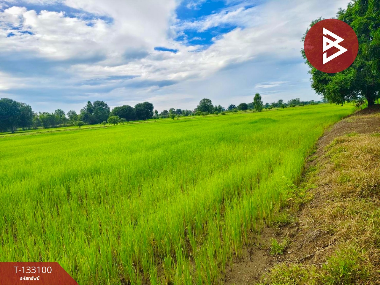 ขายที่ดินเปล่า เนื้อที่ 10 ไร่ ท่าตะโก นครสวรรค์ 2