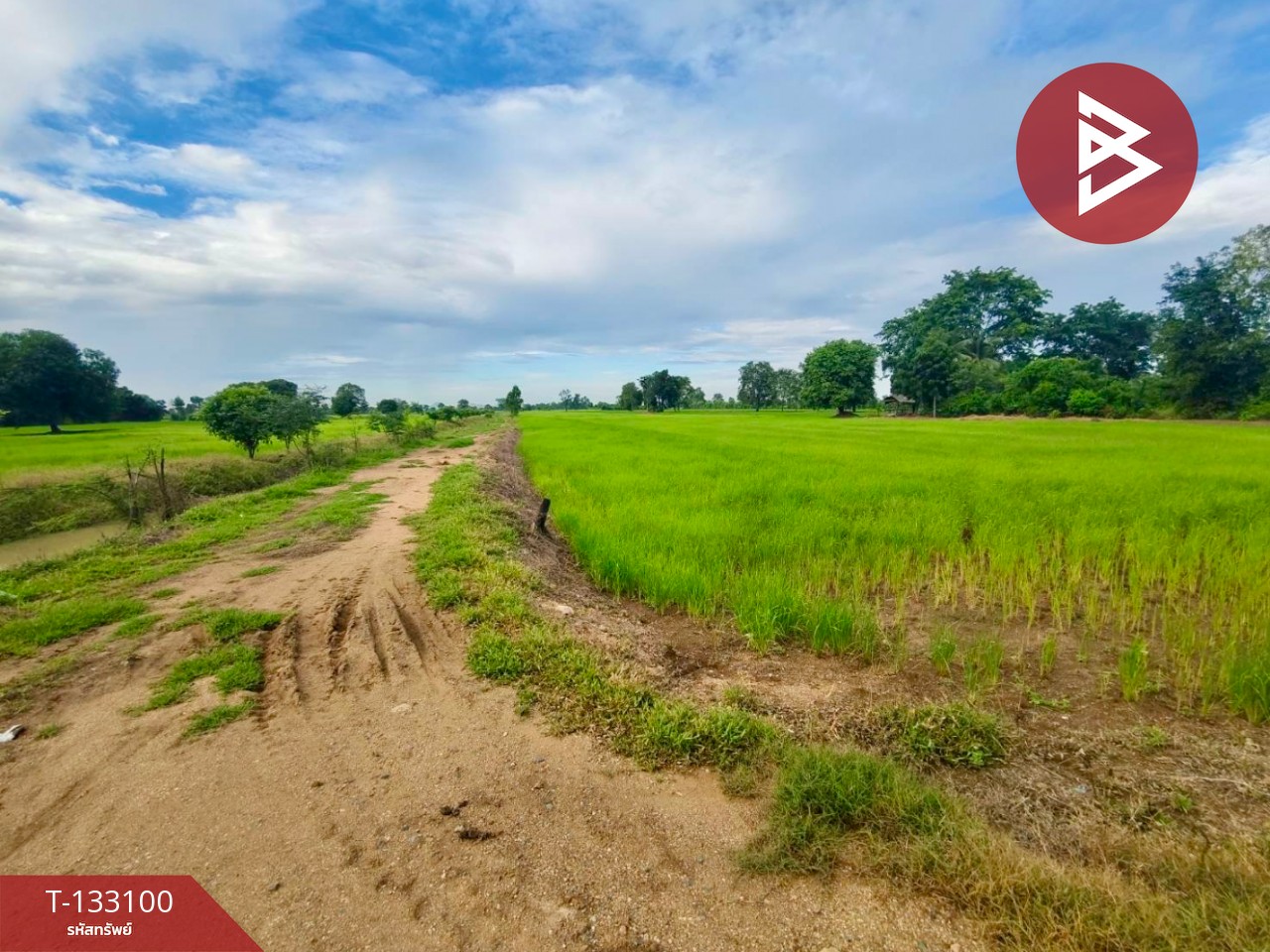 ขายที่ดินเปล่า เนื้อที่ 10 ไร่ ท่าตะโก นครสวรรค์ 6