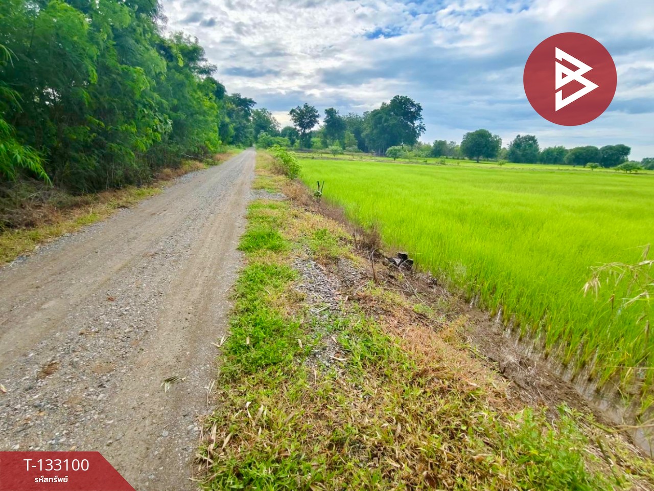 ขายที่ดินเปล่า เนื้อที่ 10 ไร่ ท่าตะโก นครสวรรค์ 8