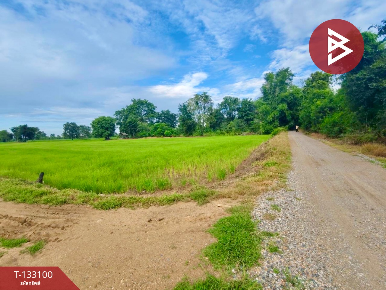 ขายที่ดินเปล่า เนื้อที่ 10 ไร่ ท่าตะโก นครสวรรค์ 7