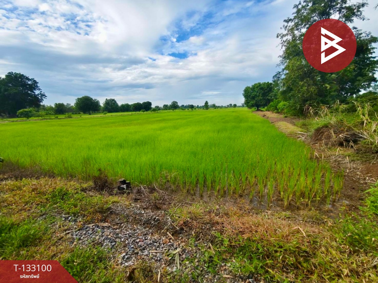 ขายที่ดินเปล่า เนื้อที่ 10 ไร่ ท่าตะโก นครสวรรค์ 4