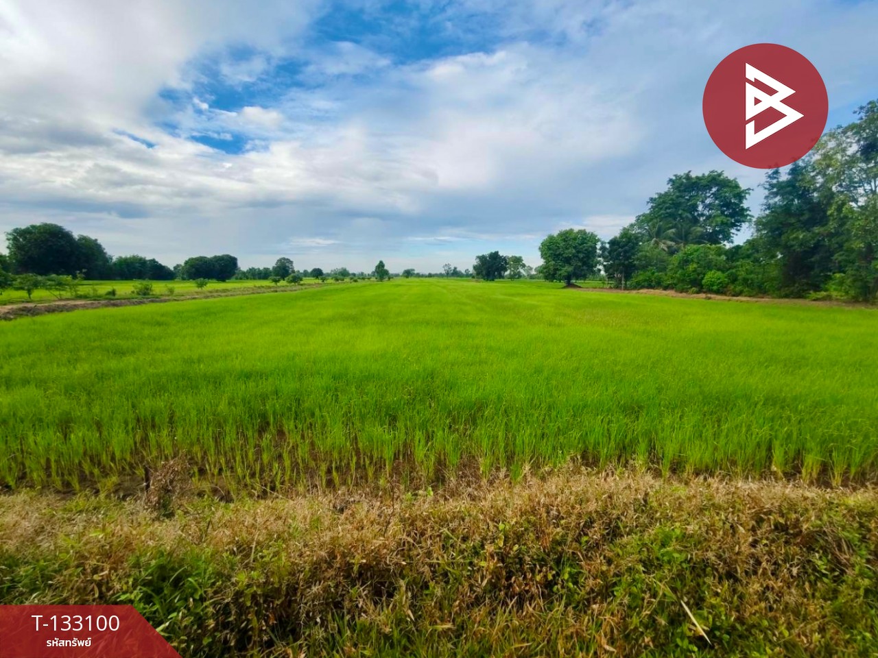 ขายที่ดินเปล่า เนื้อที่ 10 ไร่ ท่าตะโก นครสวรรค์ 5