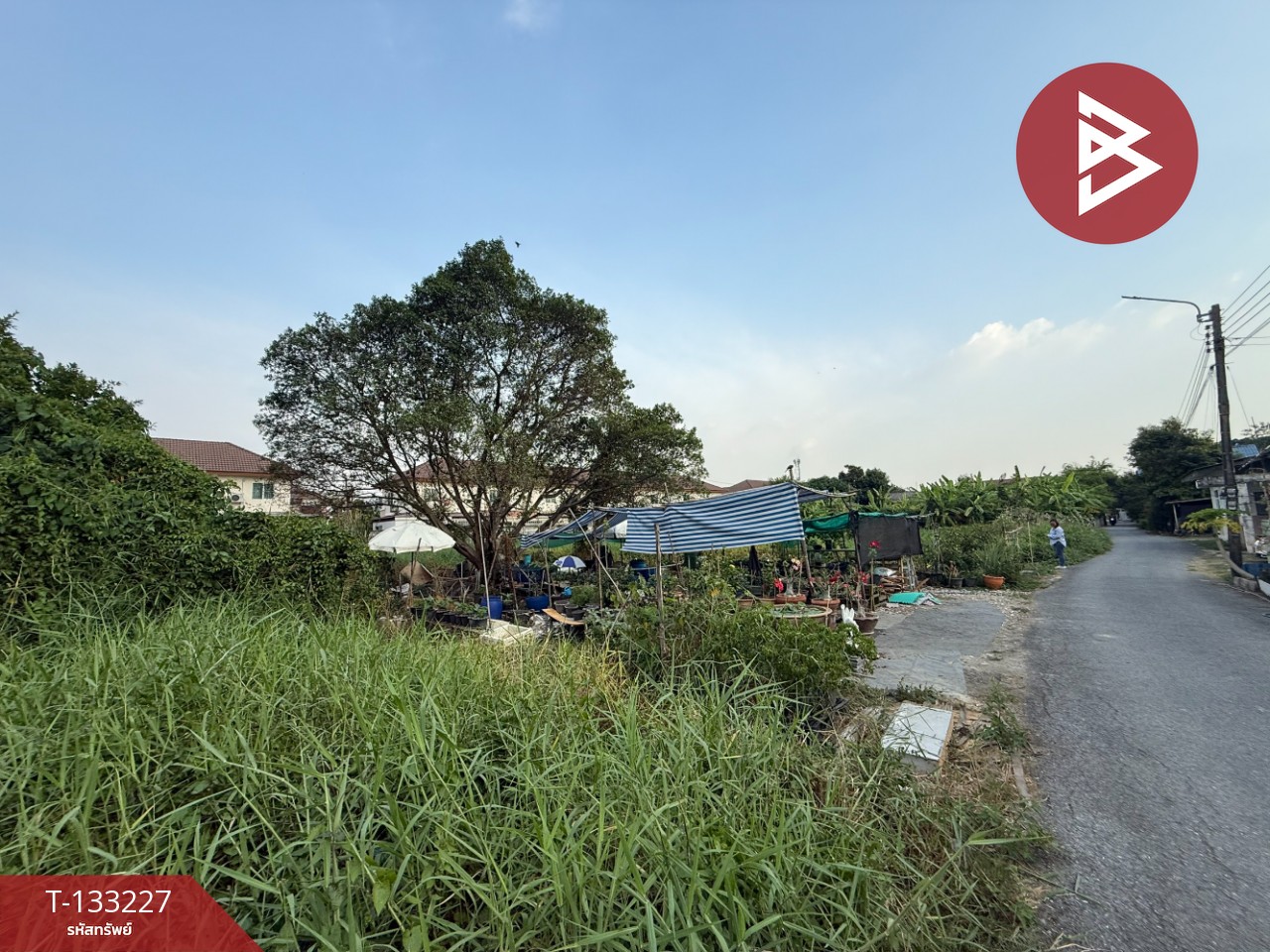 ขายที่ดิน เนื้อที่ 3 งาน 55 ตร.วา สายไหม กรุงเทพมหานคร 4