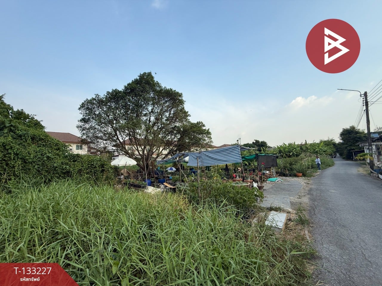 ขายที่ดิน เนื้อที่ 3 งาน 55 ตร.วา สายไหม กรุงเทพมหานคร 2