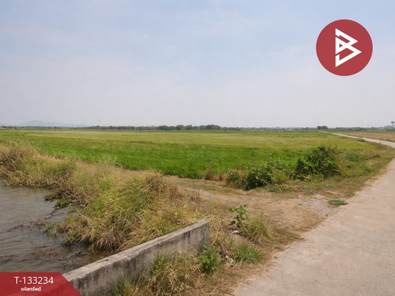 ขายที่ดิน เนื้อที่ 14 ไร่ 3 งาน 99 ตร.วา สมอแข พิษณุโลก 4