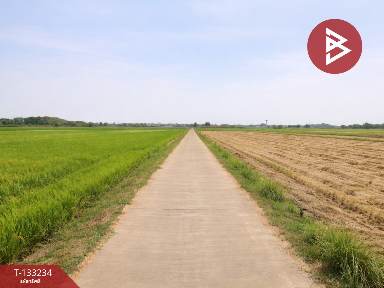 ขายที่ดิน เนื้อที่ 14 ไร่ 3 งาน 99 ตร.วา สมอแข พิษณุโลก 9