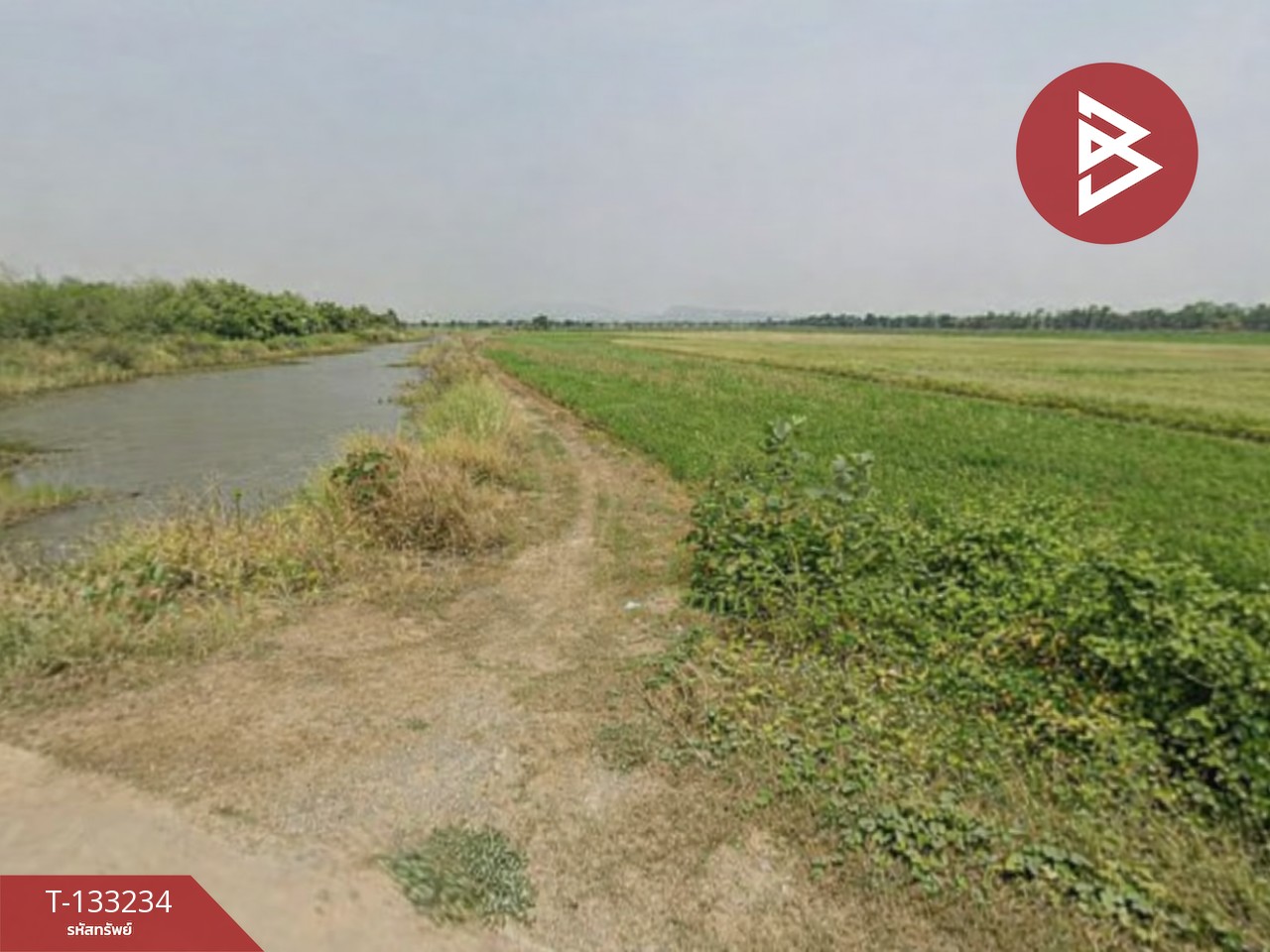 ขายที่ดิน เนื้อที่ 14 ไร่ 3 งาน 99 ตร.วา สมอแข พิษณุโลก 3