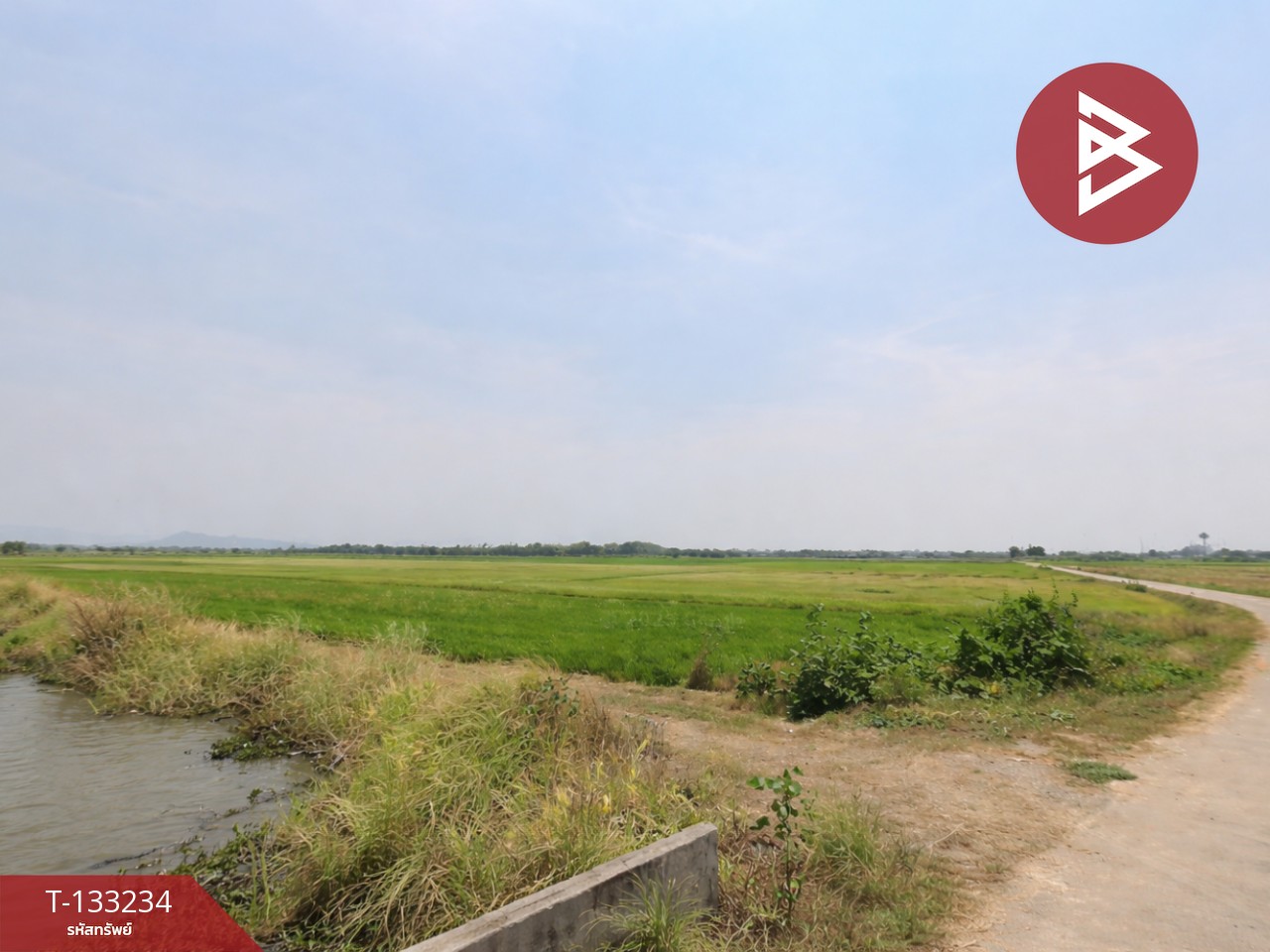 ขายที่ดิน เนื้อที่ 14 ไร่ 3 งาน 99 ตร.วา สมอแข พิษณุโลก 6