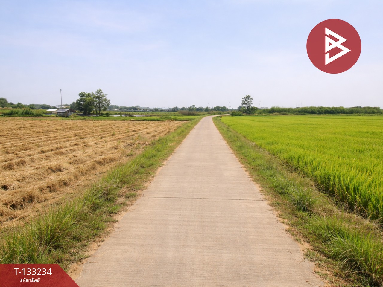 ขายที่ดิน เนื้อที่ 14 ไร่ 3 งาน 99 ตร.วา สมอแข พิษณุโลก 10