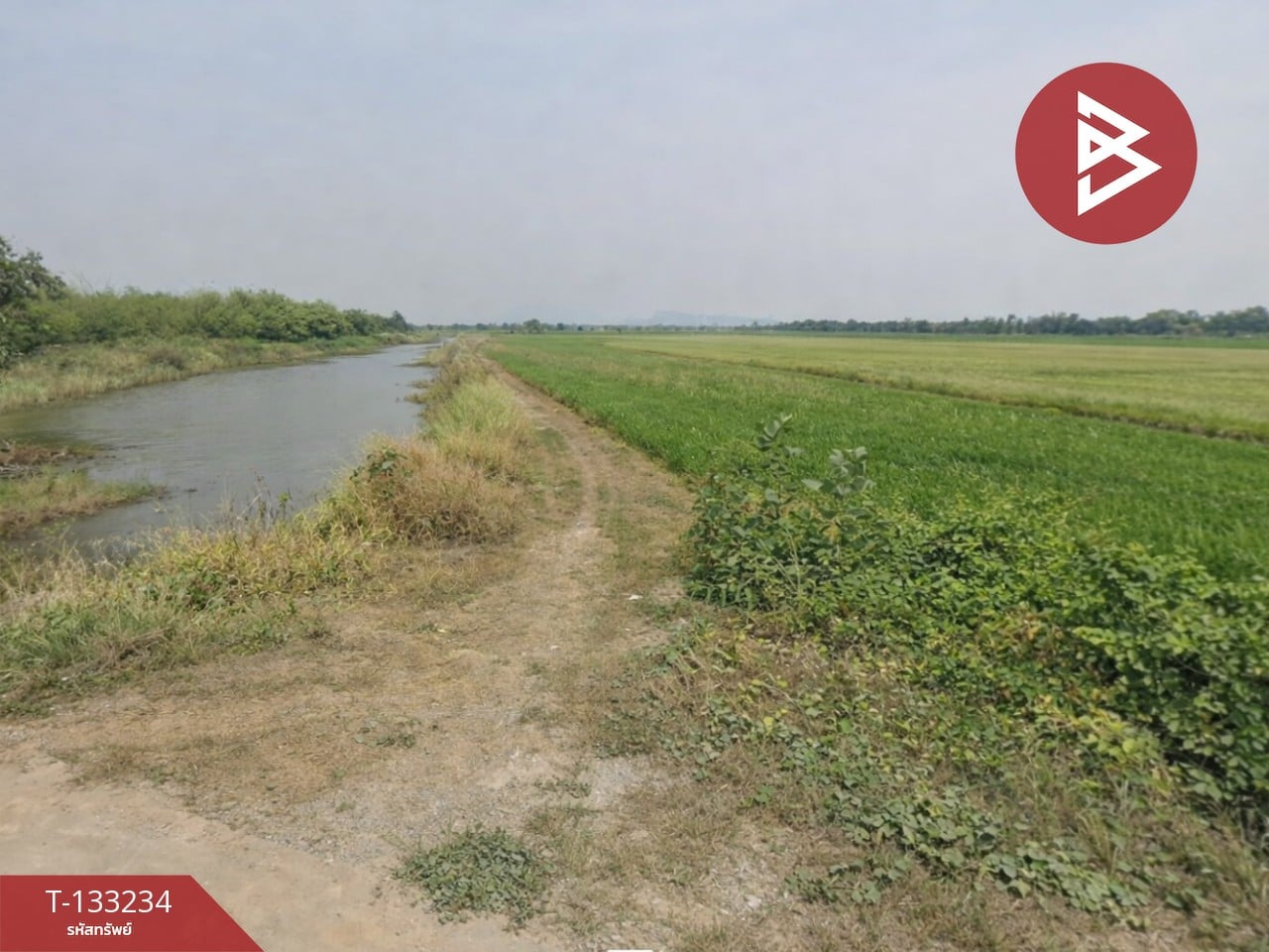 ขายที่ดิน เนื้อที่ 14 ไร่ 3 งาน 99 ตร.วา สมอแข พิษณุโลก 2