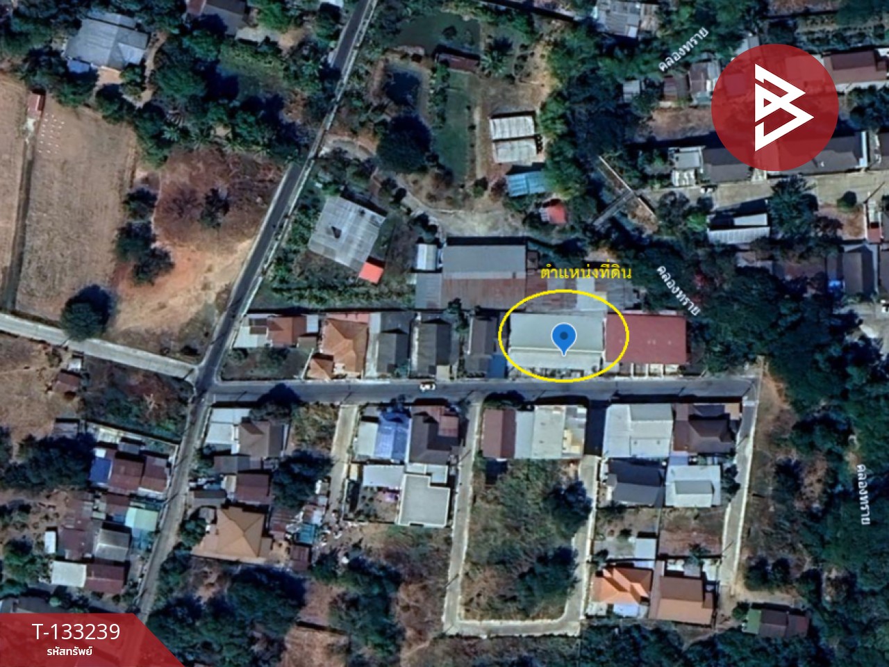 ขายห้องแถวชั้นเดียว เนื้อที่ 1 งาน 40 ตร.วา บ้านไผ่ ขอนแก่น 14