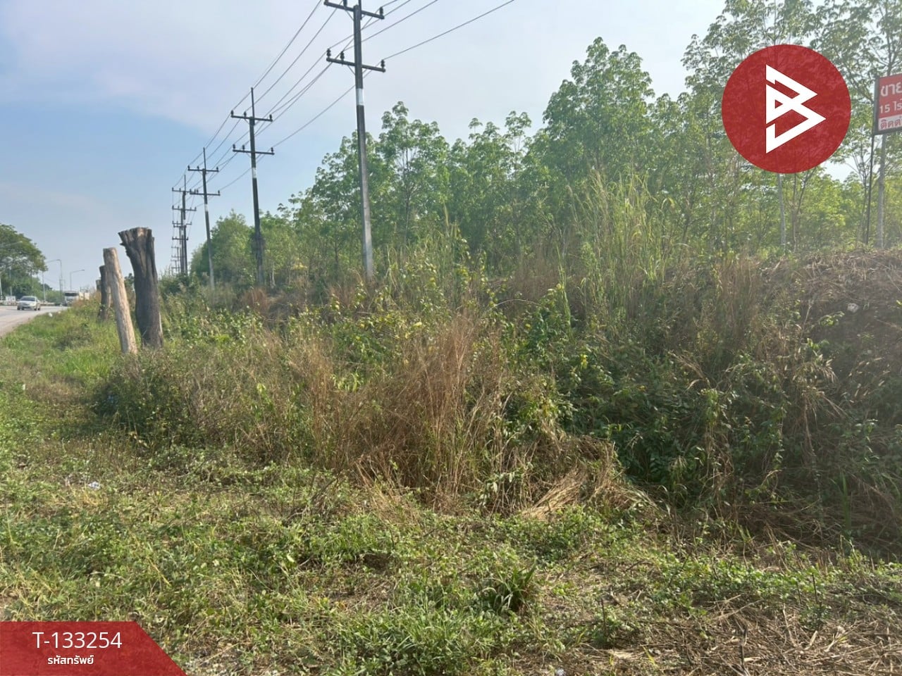 ขายที่ดิน เนื้อที่ 15 ไร่ 3 งาน 75 ตร.วา แกลง ระยอง 3