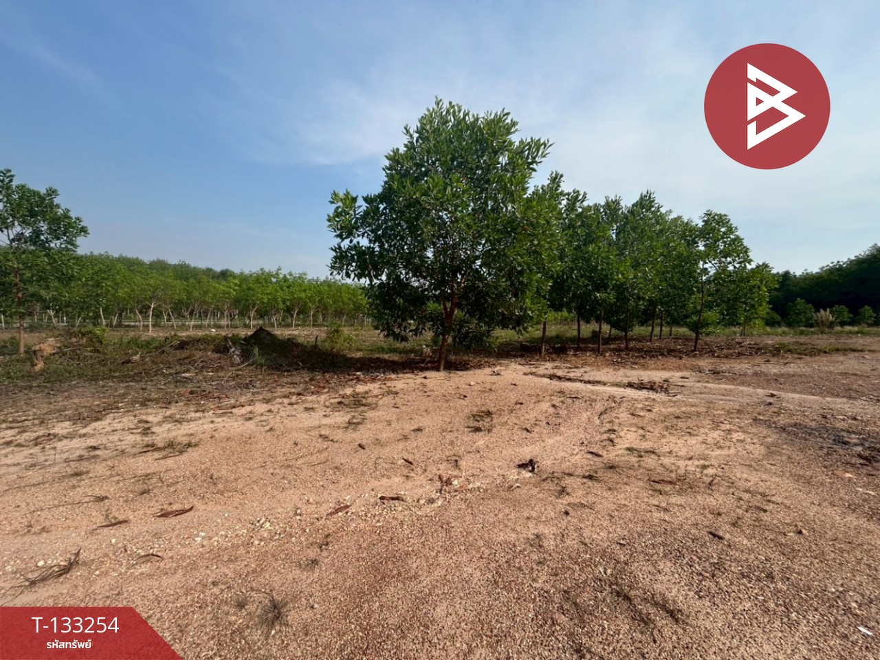 ขายที่ดิน เนื้อที่ 15 ไร่ 3 งาน 75 ตร.วา แกลง ระยอง 10