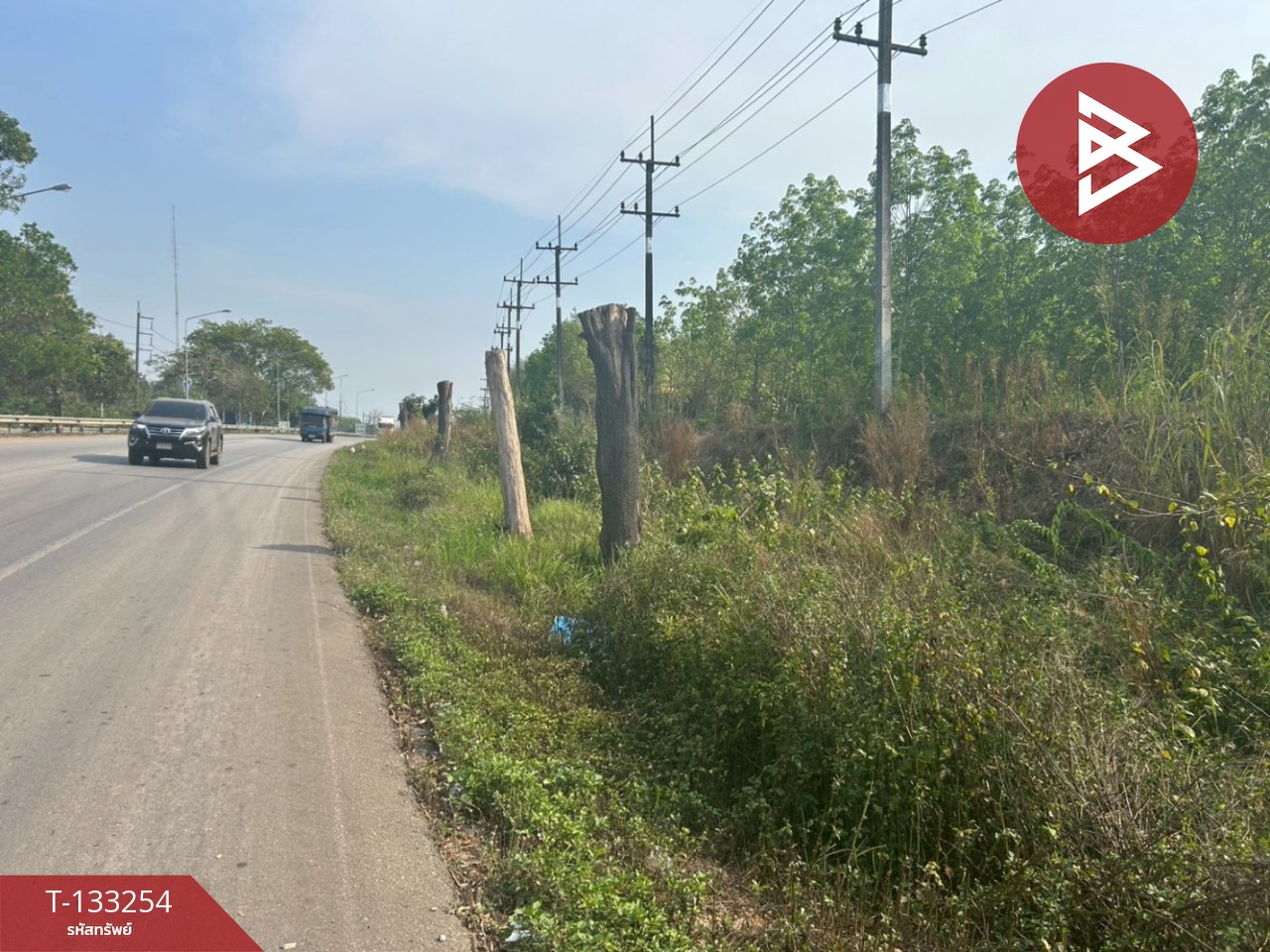 ขายที่ดิน เนื้อที่ 15 ไร่ 3 งาน 75 ตร.วา แกลง ระยอง 7