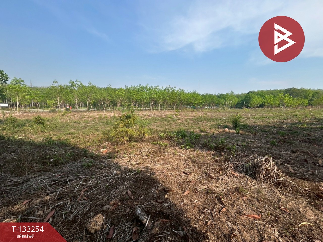 ขายที่ดิน เนื้อที่ 15 ไร่ 3 งาน 75 ตร.วา แกลง ระยอง 8