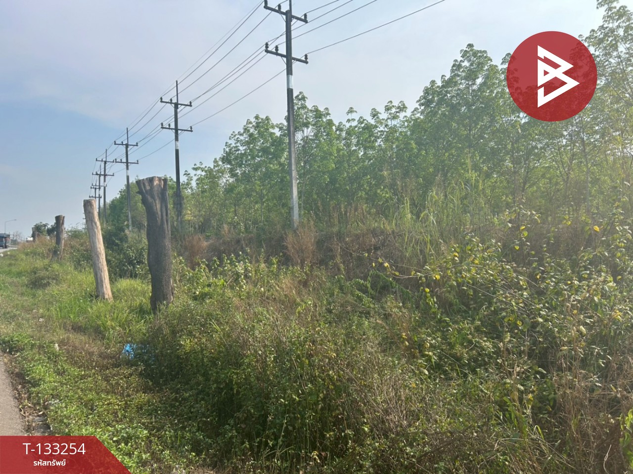 ขายที่ดิน เนื้อที่ 15 ไร่ 3 งาน 75 ตร.วา แกลง ระยอง 4