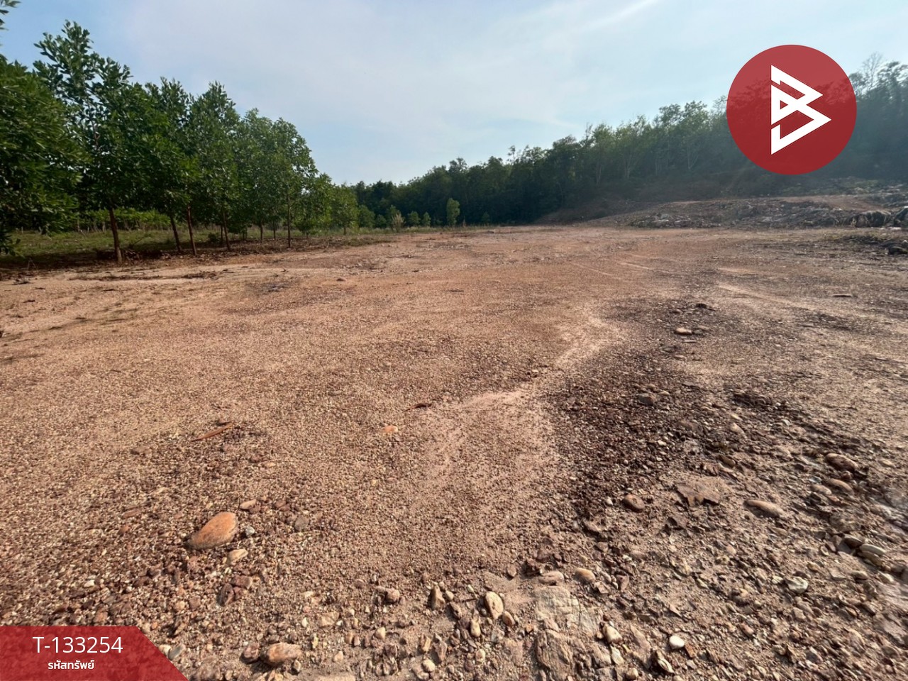 ขายที่ดิน เนื้อที่ 15 ไร่ 3 งาน 75 ตร.วา แกลง ระยอง 9