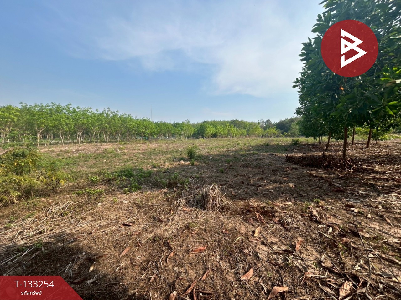 ขายที่ดิน เนื้อที่ 15 ไร่ 3 งาน 75 ตร.วา แกลง ระยอง 5