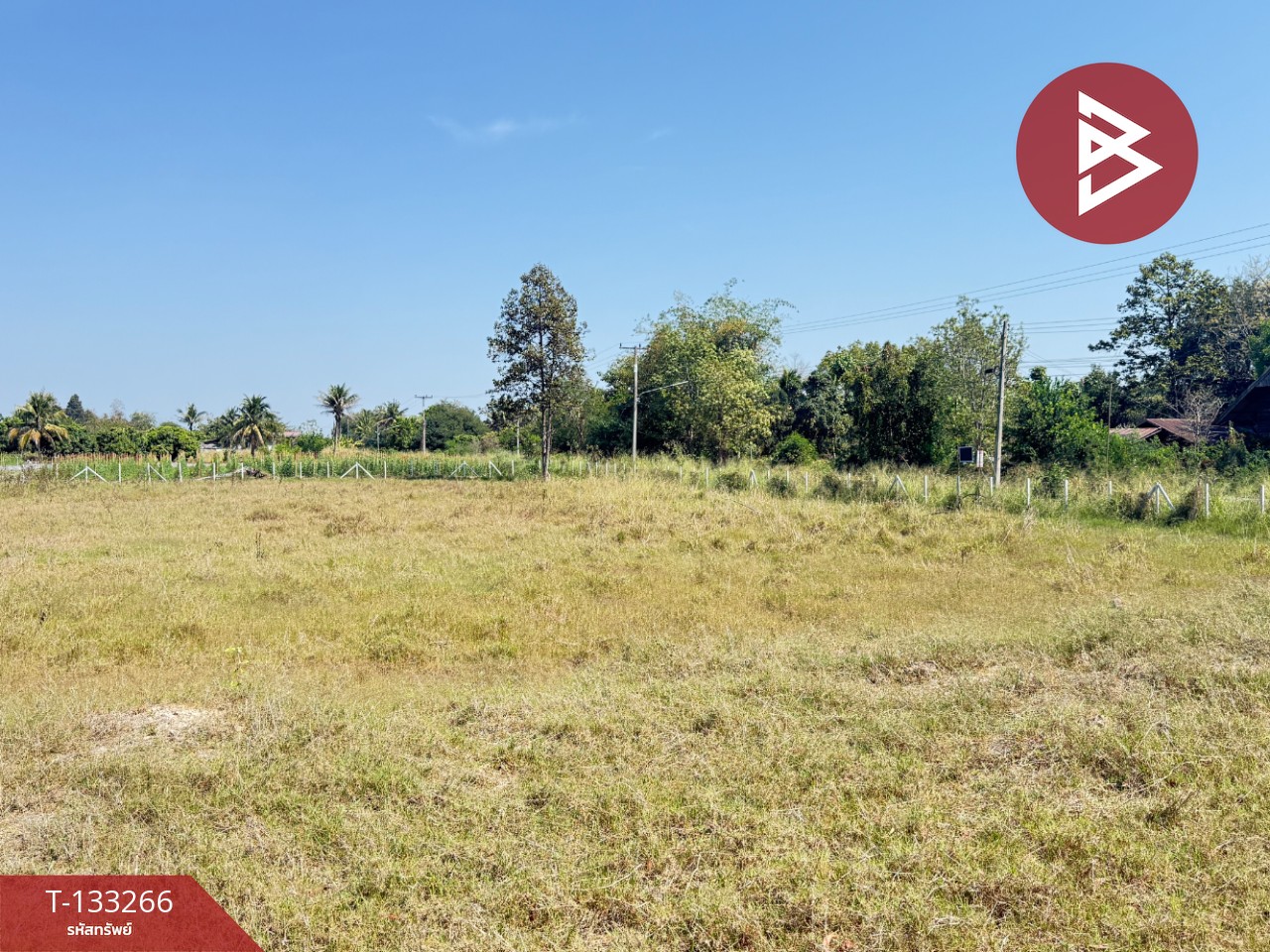 ขายที่ดิน เนื้อที่ 5 ไร่ 45.2 ตารางวา ดอยหล่อฝั่งตะวันตก เชียงใหม่ 9