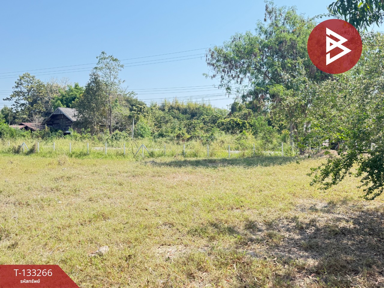 ขายที่ดิน เนื้อที่ 5 ไร่ 45.2 ตารางวา ดอยหล่อฝั่งตะวันตก เชียงใหม่ 11