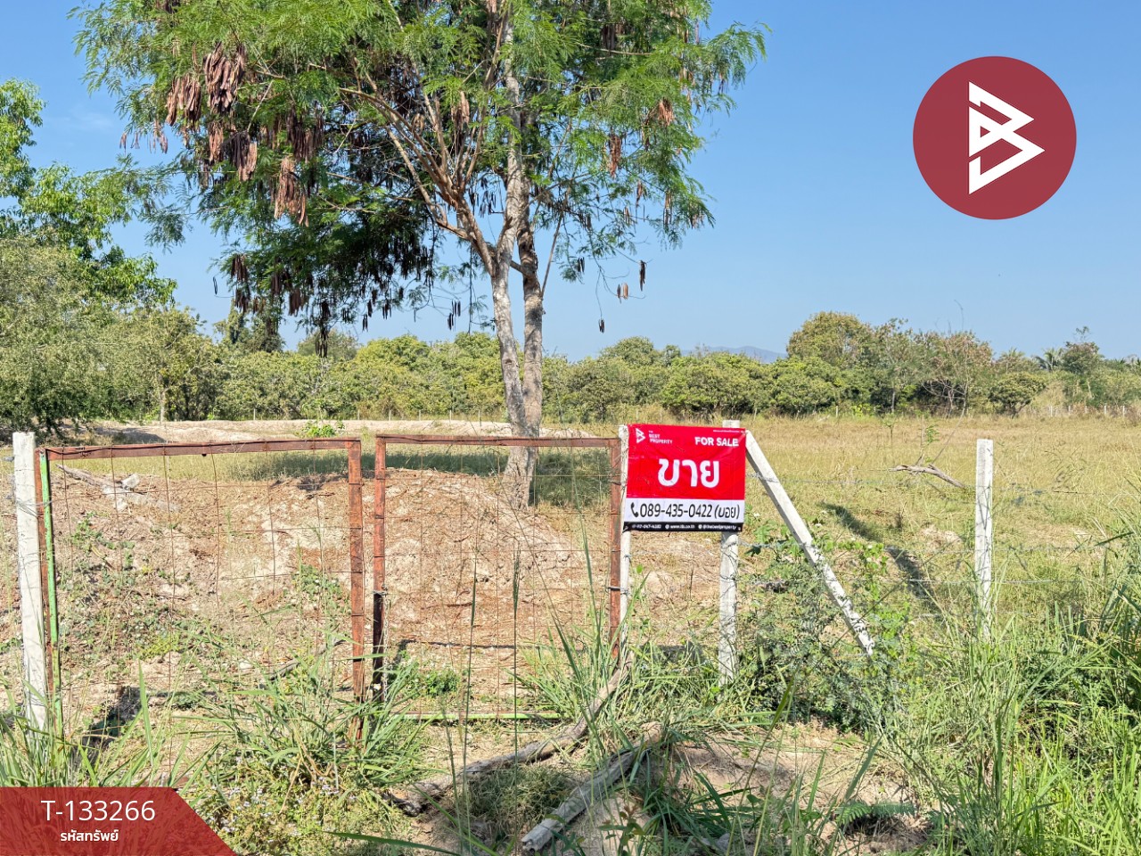 ขายที่ดิน เนื้อที่ 5 ไร่ 45.2 ตารางวา ดอยหล่อฝั่งตะวันตก เชียงใหม่ 2