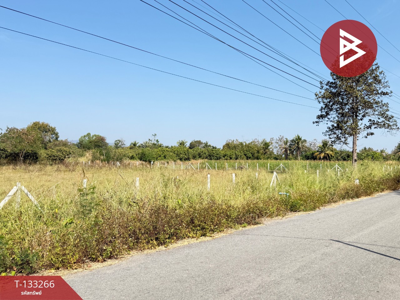 ขายที่ดิน เนื้อที่ 5 ไร่ 45.2 ตารางวา ดอยหล่อฝั่งตะวันตก เชียงใหม่ 6