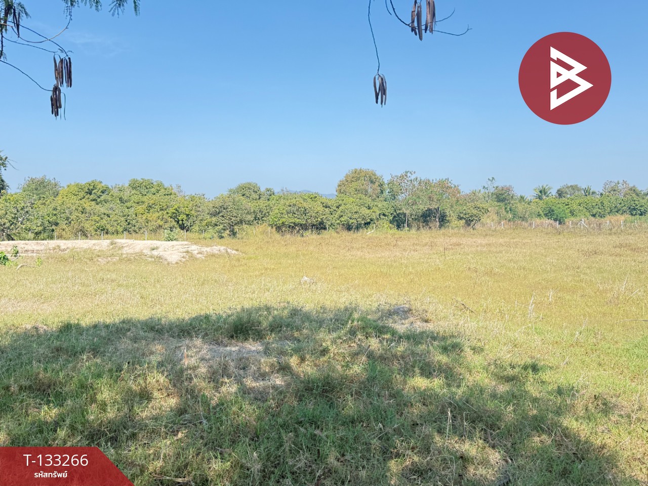 ขายที่ดิน เนื้อที่ 5 ไร่ 45.2 ตารางวา ดอยหล่อฝั่งตะวันตก เชียงใหม่ 8