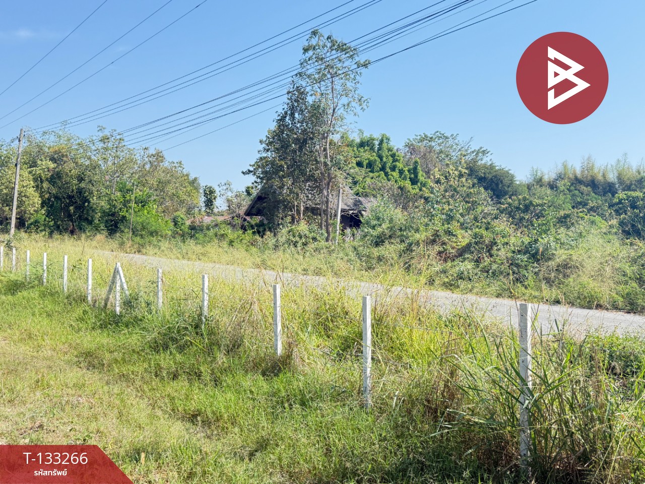 ขายที่ดิน เนื้อที่ 5 ไร่ 45.2 ตารางวา ดอยหล่อฝั่งตะวันตก เชียงใหม่ 10