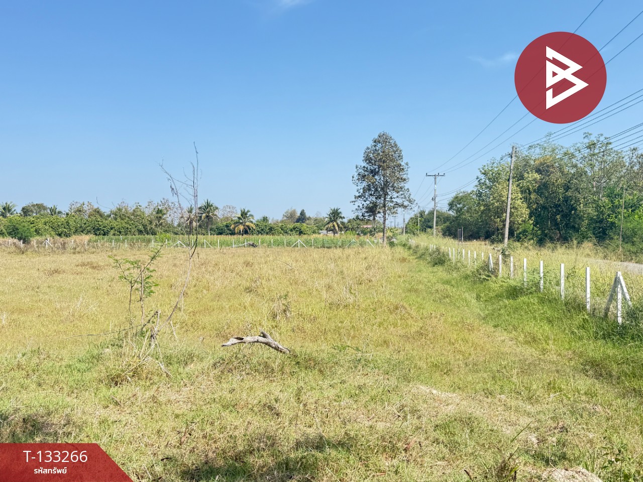 ขายที่ดิน เนื้อที่ 5 ไร่ 45.2 ตารางวา ดอยหล่อฝั่งตะวันตก เชียงใหม่ 7