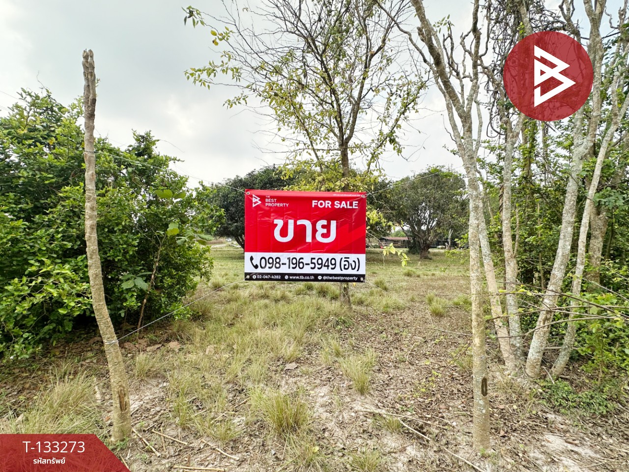 ขายที่ดิน อยู่ใกล้โรงงาน QMB เนื้อที่ 8 ไร่ 3 งาน 61 ตร.วา บ้านบึง ชลบุรี 1