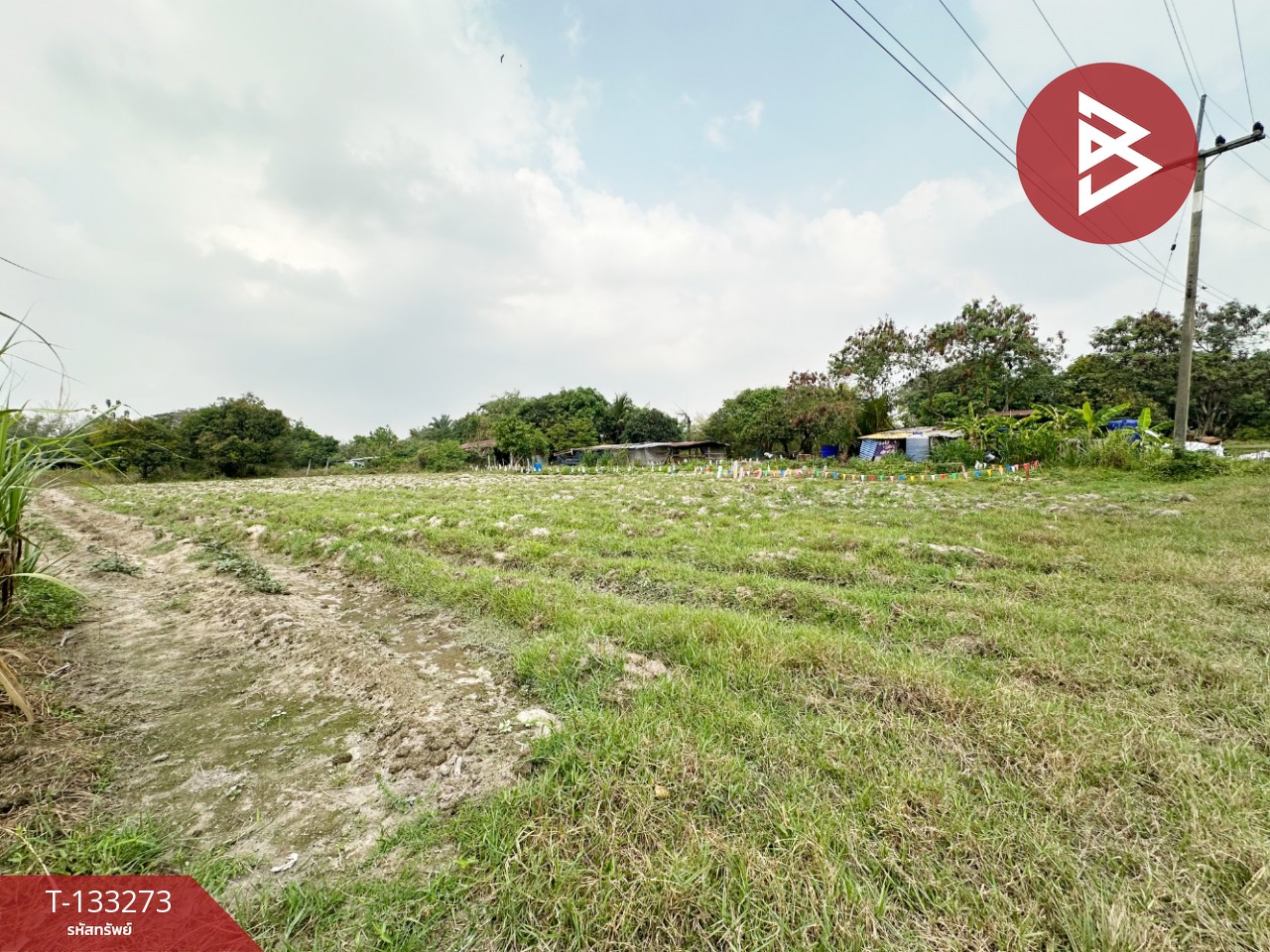 ขายที่ดิน อยู่ใกล้โรงงาน QMB เนื้อที่ 8 ไร่ 3 งาน 61 ตร.วา บ้านบึง ชลบุรี 3