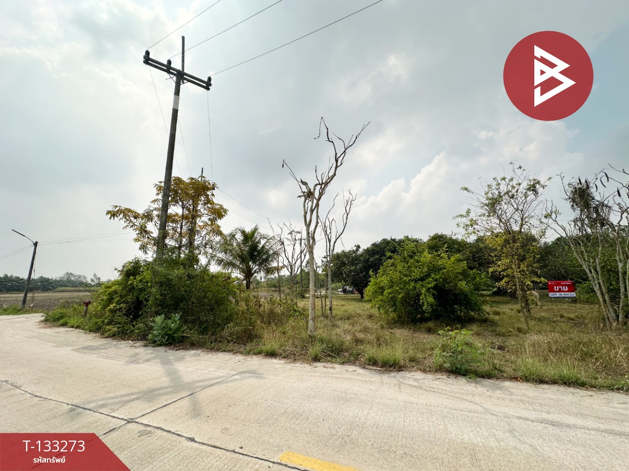 ขายที่ดิน อยู่ใกล้โรงงาน QMB เนื้อที่ 8 ไร่ 3 งาน 61 ตร.วา บ้านบึง ชลบุรี 10
