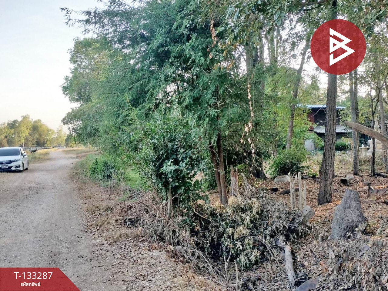 ขายที่ดินแปลงสวย เนื้อที่ 2 ไร่ 3 งาน 21 ตารางวา บ้านดอน พิษณุโลก ราคาถูก 8