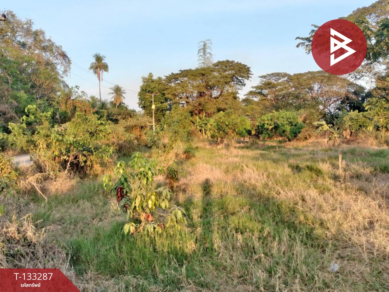 ขายที่ดินแปลงสวย เนื้อที่ 2 ไร่ 3 งาน 21 ตารางวา บ้านดอน พิษณุโลก ราคาถูก 3