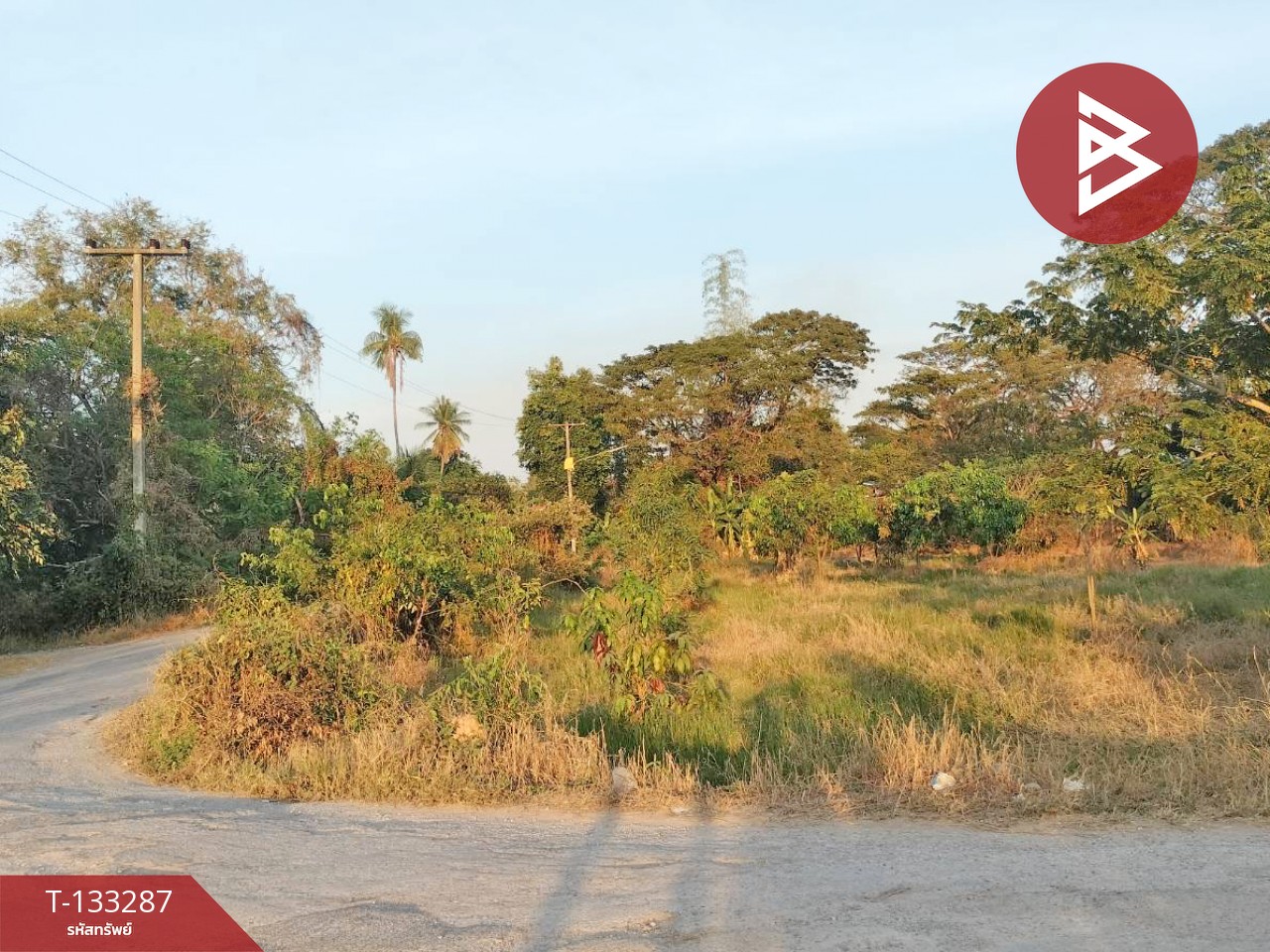 ขายที่ดินแปลงสวย เนื้อที่ 2 ไร่ 3 งาน 21 ตารางวา บ้านดอน พิษณุโลก ราคาถูก 2