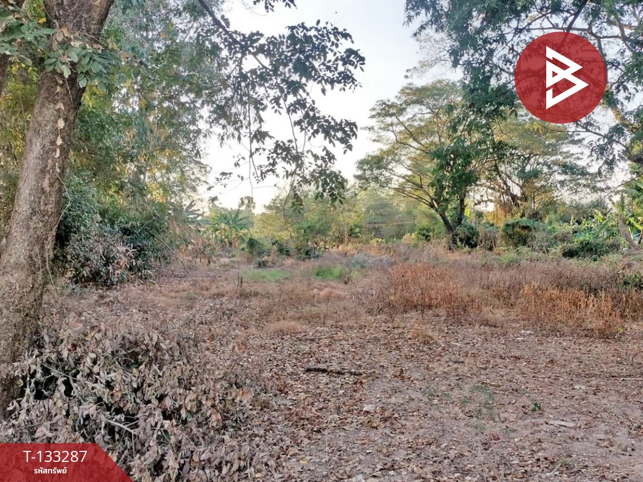 ขายที่ดินแปลงสวย เนื้อที่ 2 ไร่ 3 งาน 21 ตารางวา บ้านดอน พิษณุโลก ราคาถูก 4