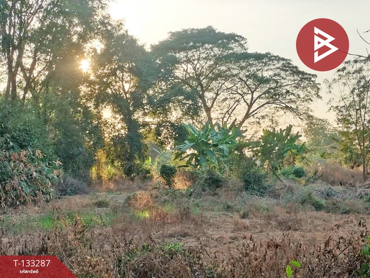 ขายที่ดินแปลงสวย เนื้อที่ 2 ไร่ 3 งาน 21 ตารางวา บ้านดอน พิษณุโลก ราคาถูก 6